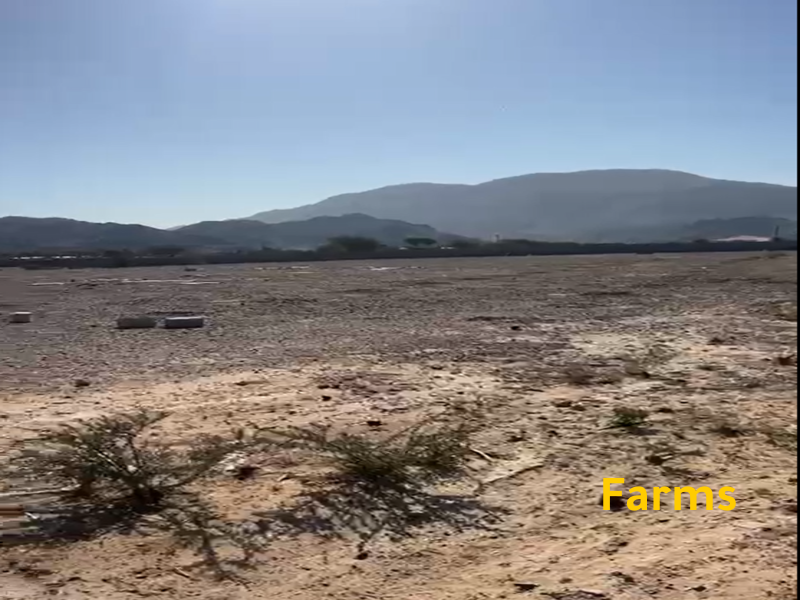 مزرعة للايجار فى راس الخيمة مساحة 168 الف قدم